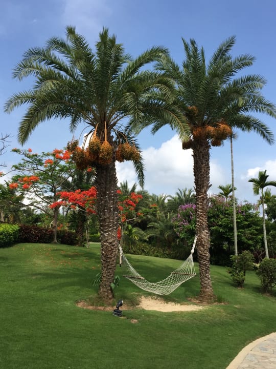 Gartenanlage Hotel Sanya Marriott Resort & Spa