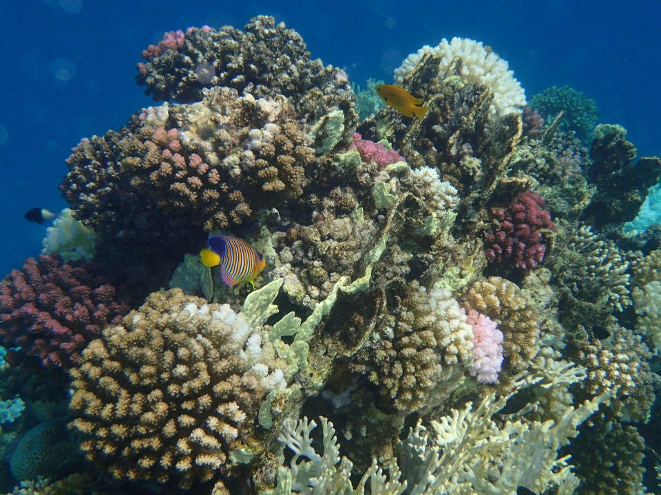 Strand Three Corners Equinox Beach Resort