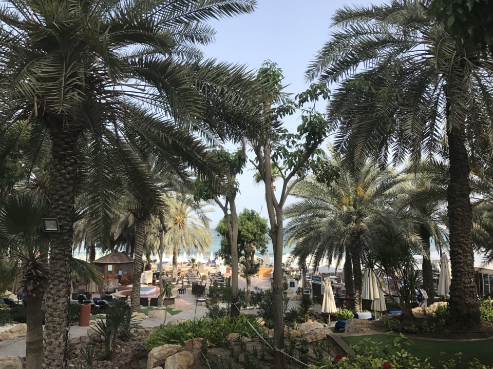 Gartenanlage Hilton Dubai Jumeirah