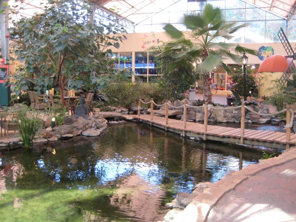Zentrum, sehr tropisch  Ferienpark Landal De Lommerbergen