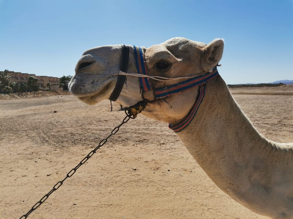 Strand Three Corners Sea Beach Resort