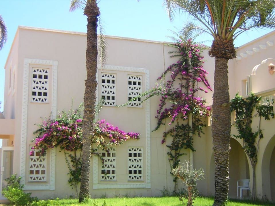 Grünanlage/Hotelzimmer Zita Beach Resort