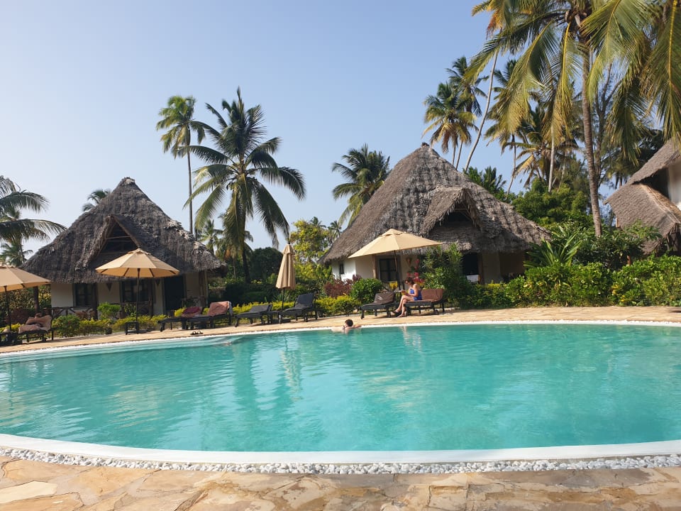 Pool Pongwe Bay Resort