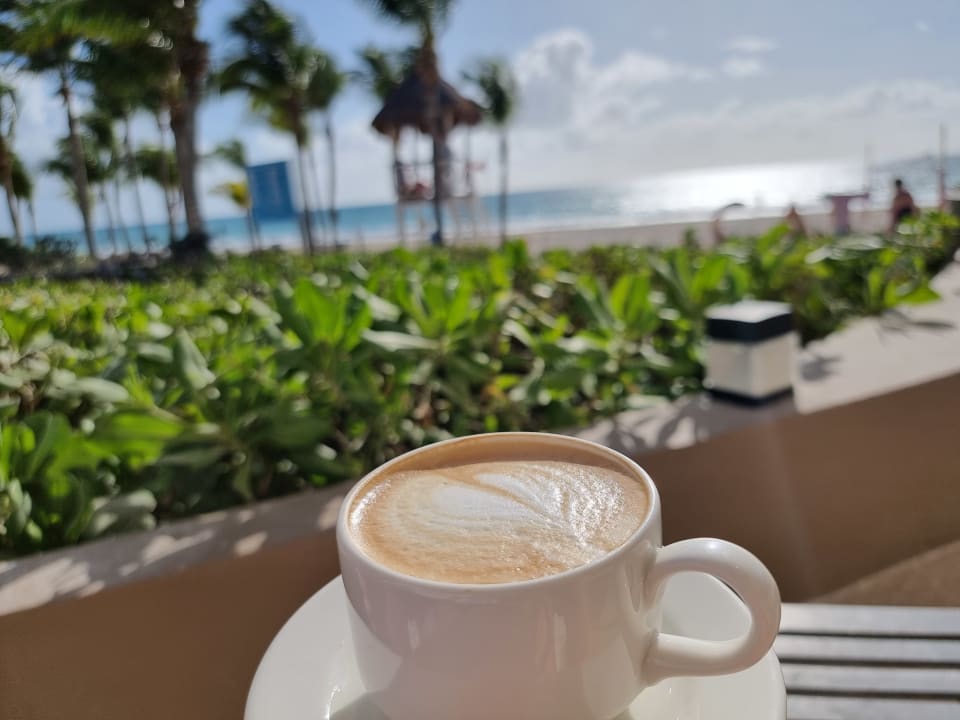 Gastro Catalonia Playa Maroma