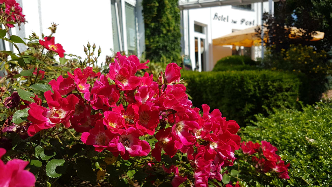 Gartenanlage AKZENT Hotel Zur Post