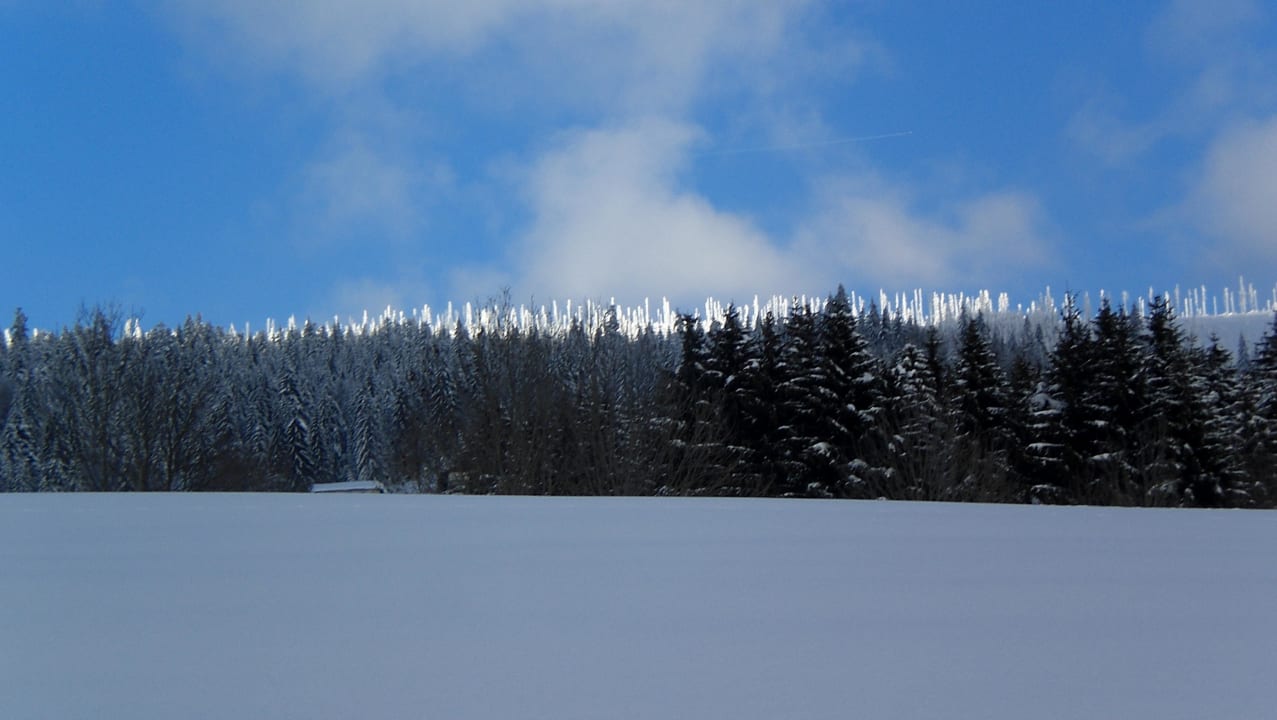 Landschaft Hotel Bergland-Hof