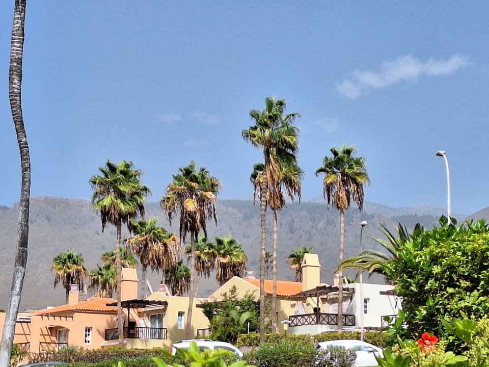 Ausblick Hotel Riu Arecas - Adults only