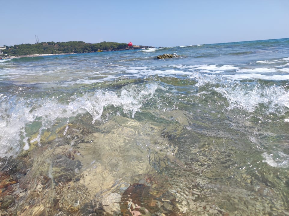 Strand Hotel Gardenia Beach