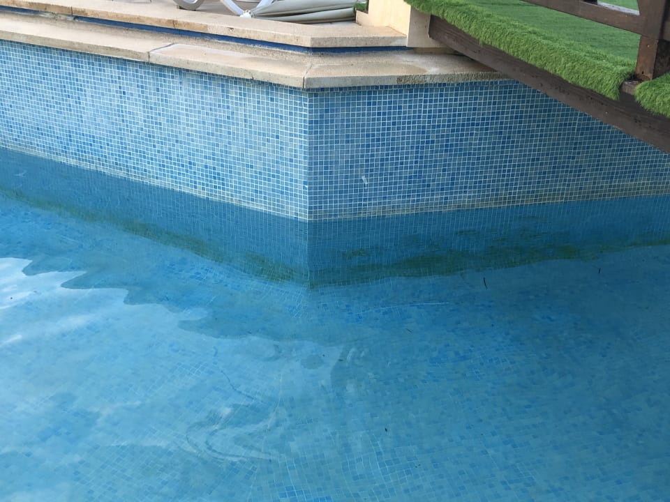 Pool Hotel Condesa