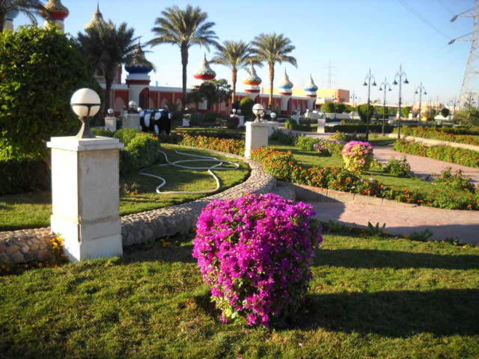 Sehr gepflegt, auch vor dem Hotel Pickalbatros Alf Leila Wa Leila Resort - Neverland Hurghada