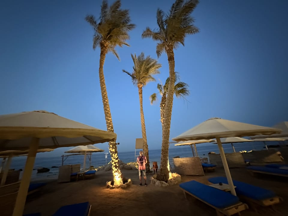 Strand Pickalbatros Citadel Resort