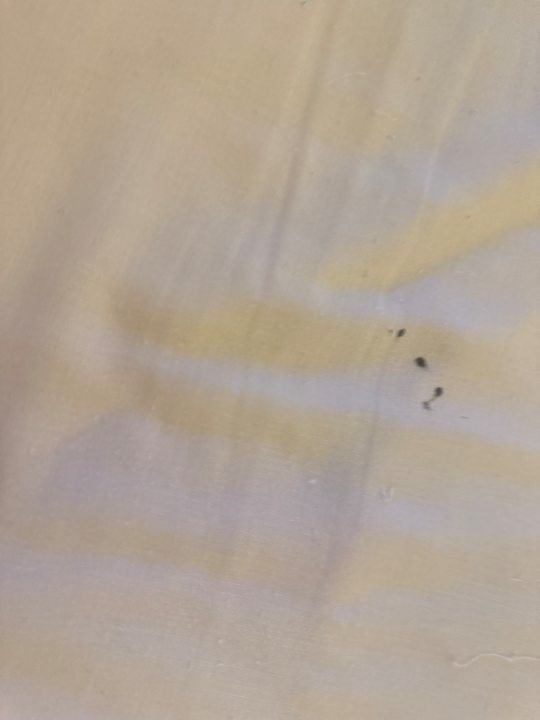 Gastro Titanic Royal