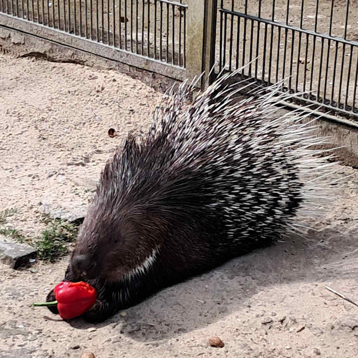Außenansicht JUFA Hotel Jülich