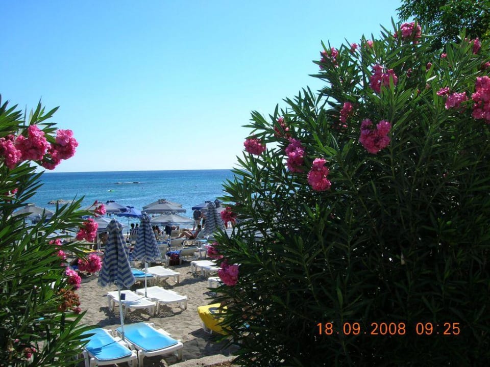 Strand alltoura Club Hotel Porto Angeli Beach Resort