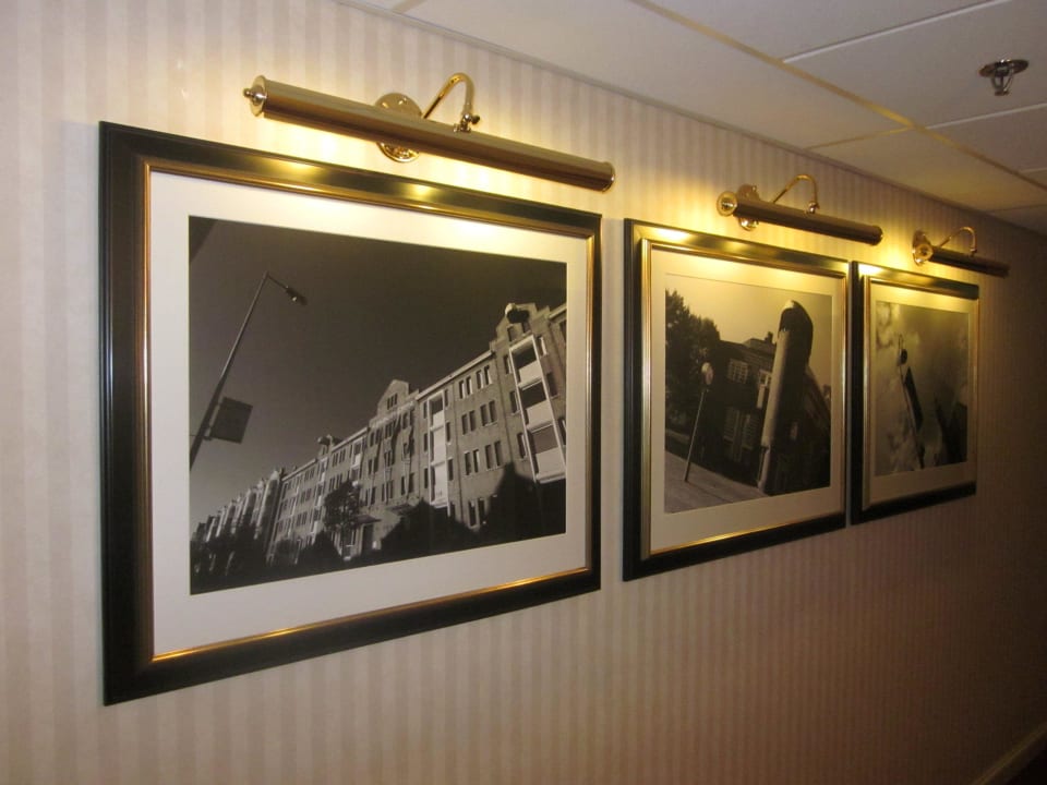 Bilder im Flur Amsterdam Marriott Hotel