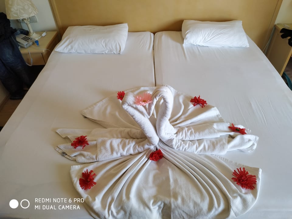 Zimmer Aska Hotel Just in Beach