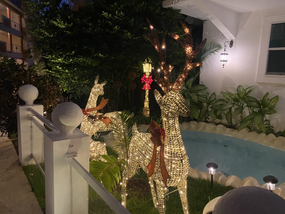 Gartenanlage Hotel Viva Dominicus Palace by Wyndham-All Inclusive Resort