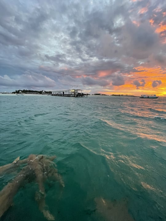 Strand Cinnamon Hakuraa Huraa Maldives