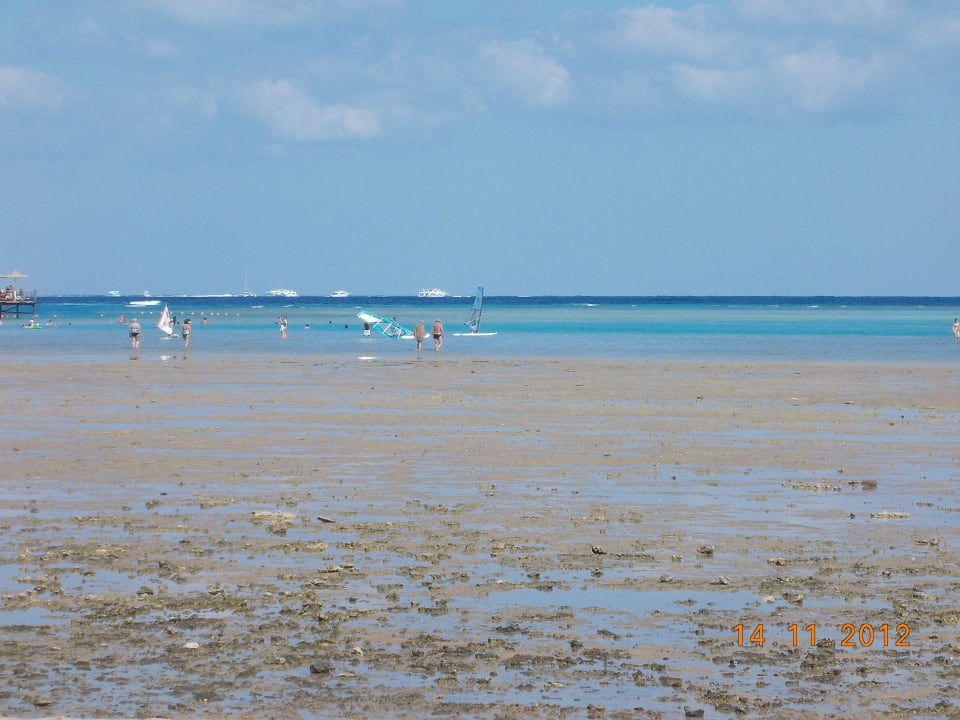 Ebbe Stella Garden Resort & Spa, Makadi Bay