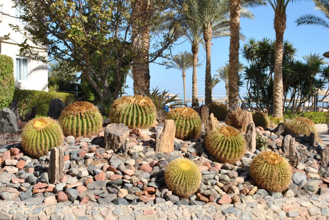 Gartenanlage Golden Beach Resort