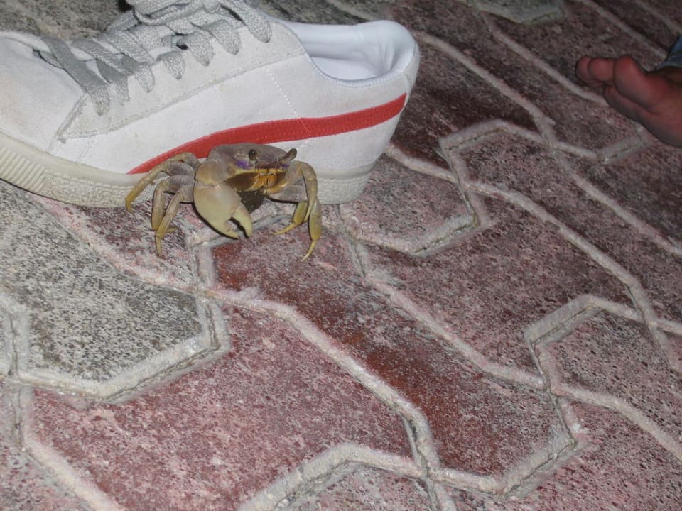 Krabbi Grand Palladium Select White Sand Resort & Spa