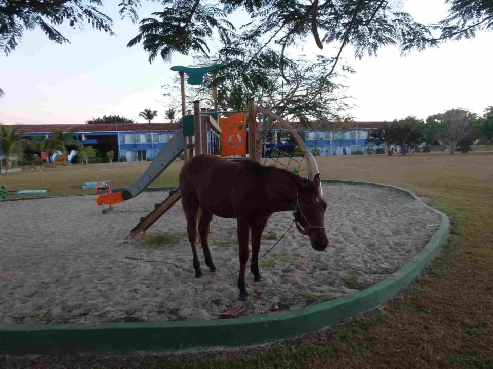 Amigo Rancho Luna Hotel Club Amigo Rancho Luna