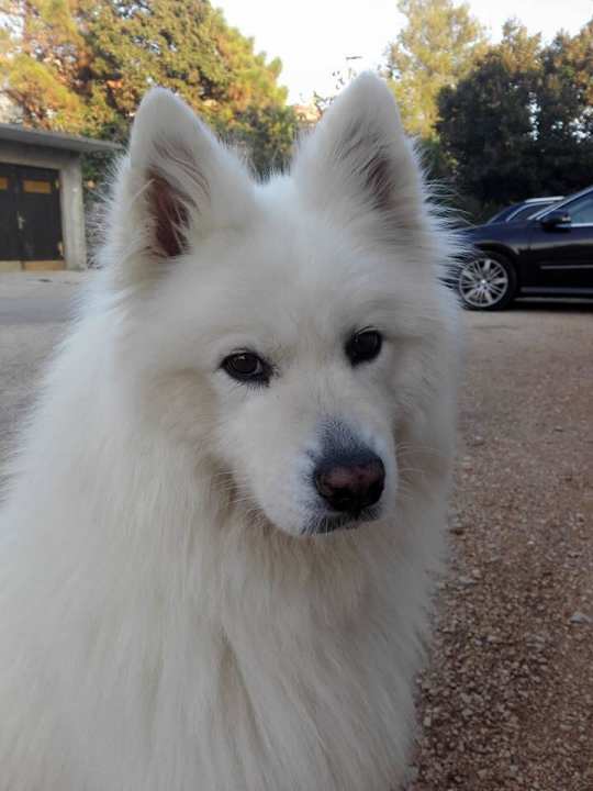 Nala Apartments Dolores