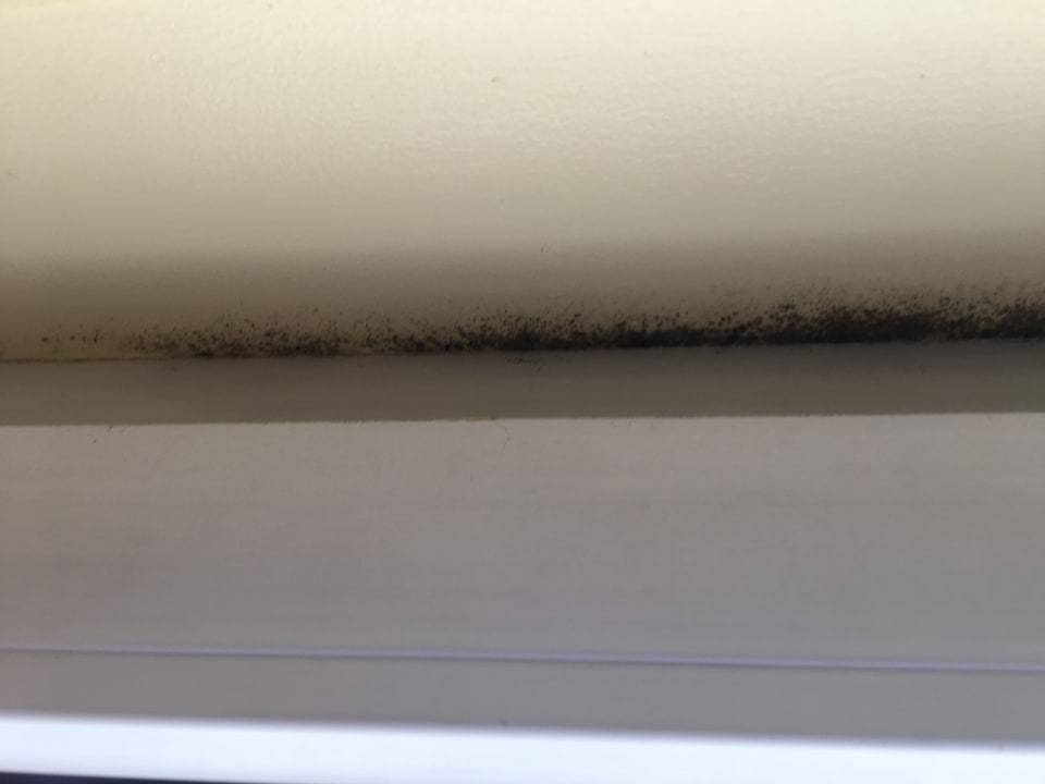 Zimmer Scope Hotel Dresden Airport