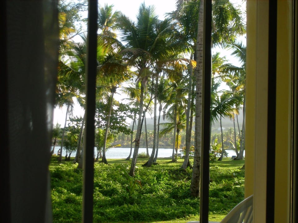 Blick aus dem Zimmer Wyndham Alltra Samana