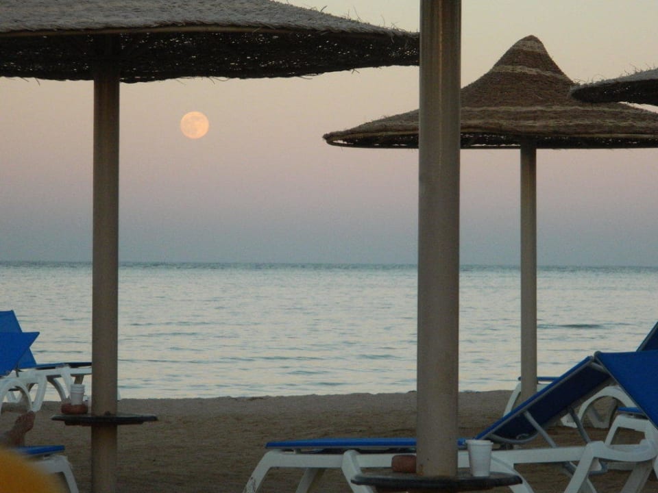 Вечереет Stella Garden Resort & Spa, Makadi Bay