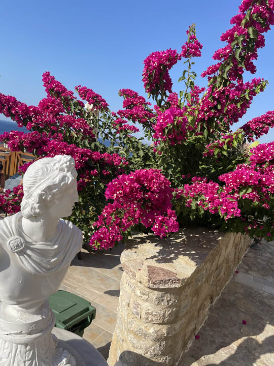 Sonstiges Hotel Kalithea Horizon Royal