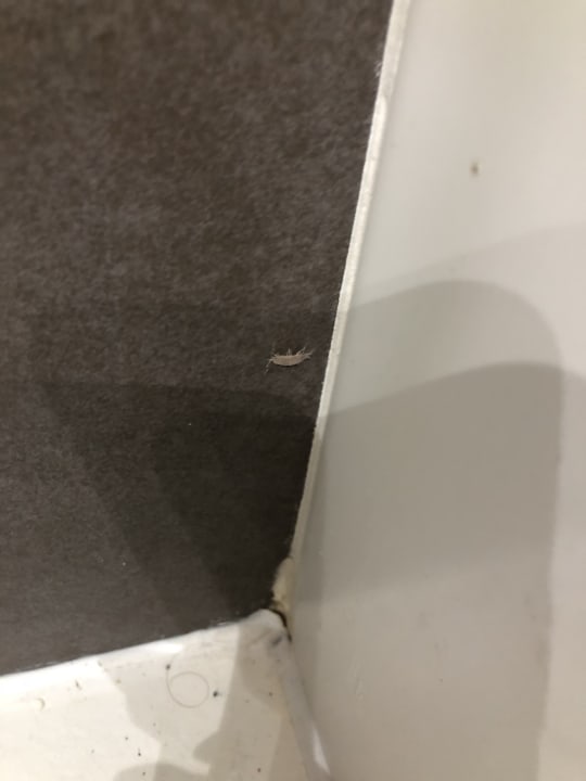 Zimmer Hotel Mariant Park