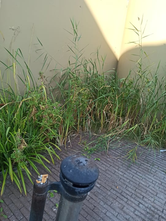 Pool Center Parcs Park Nordseeküste