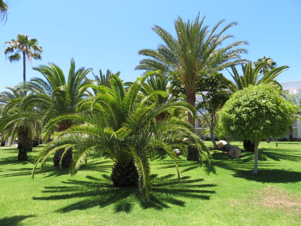 Gartenanlage Hotel Riu Gran Canaria