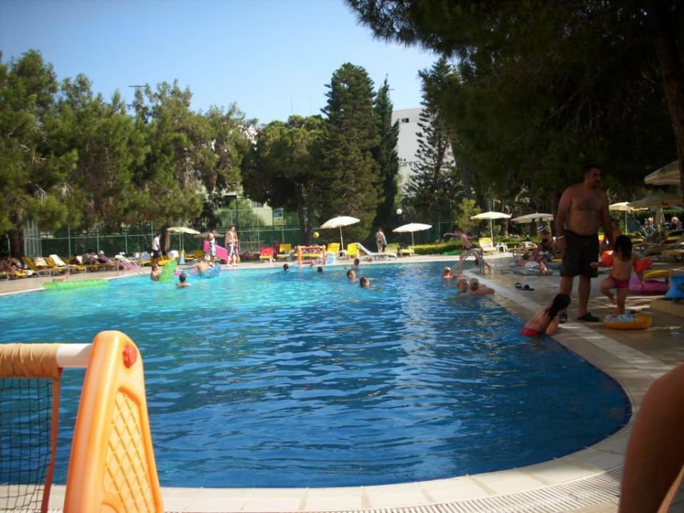 Poolblick Asteria Collection Side