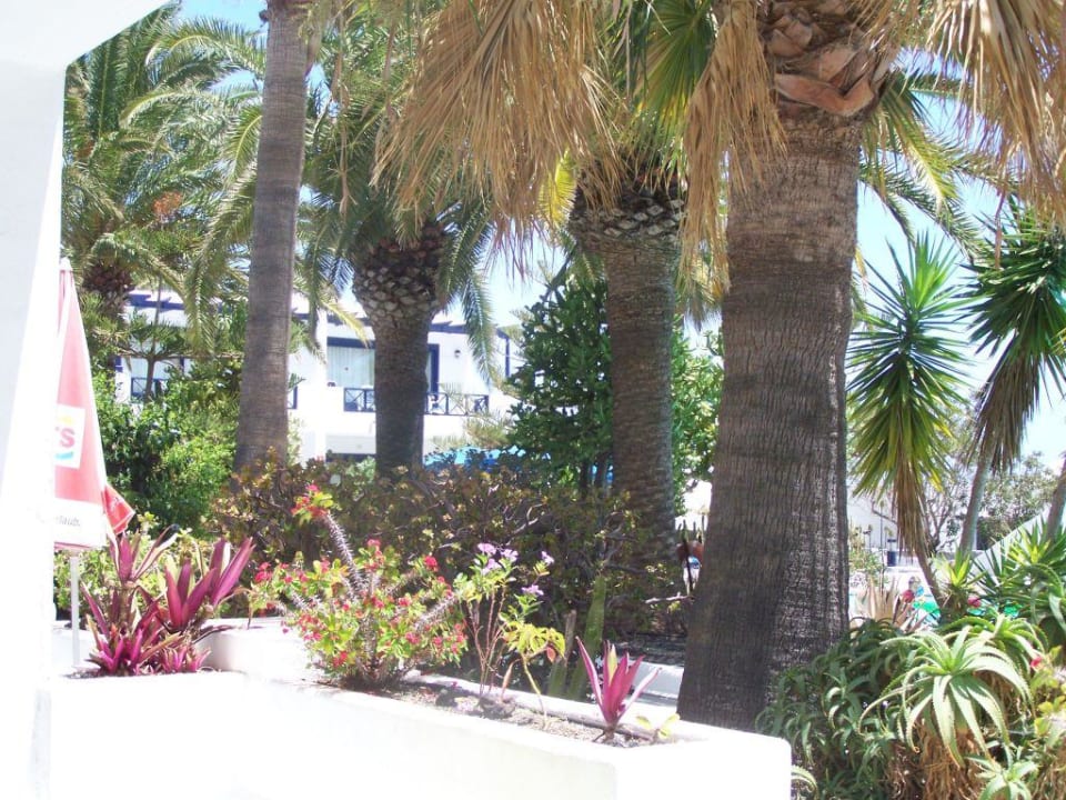 Außenansicht Bungalows & Appartements Playamar