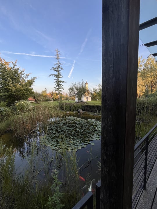 Ausblick Hofgut Algertshausen