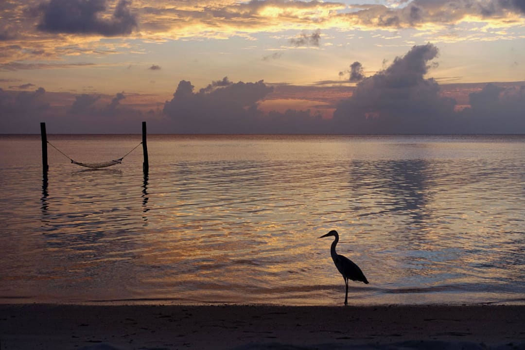 Blick von der Strandbar bei Sonnenuntergang Summer Island Maldives