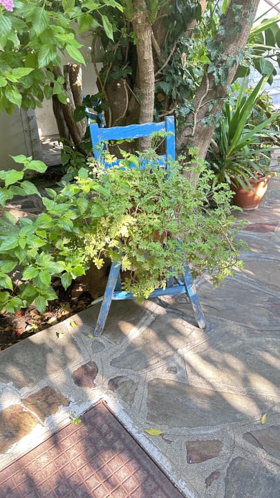 Gartenanlage Hotel Golden Sun