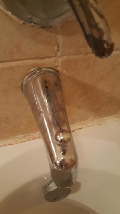 Zimmer Ghazala Gardens