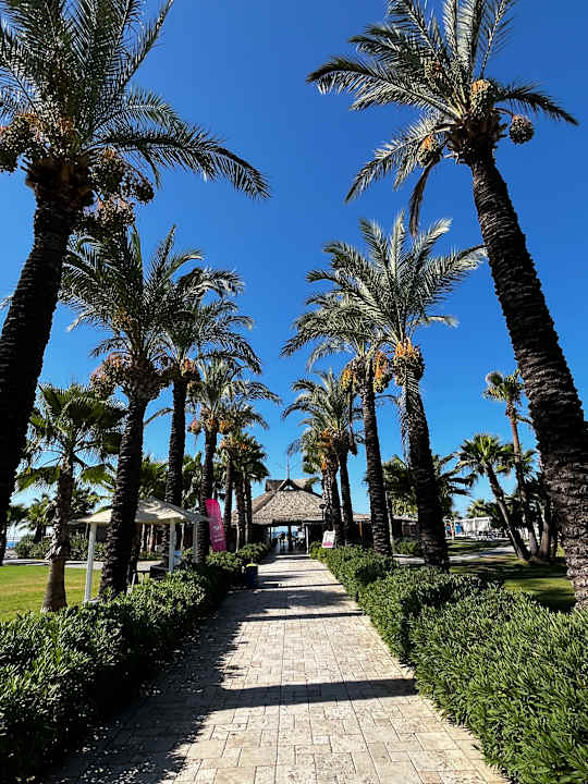 Außenansicht Calimera Serra Palace