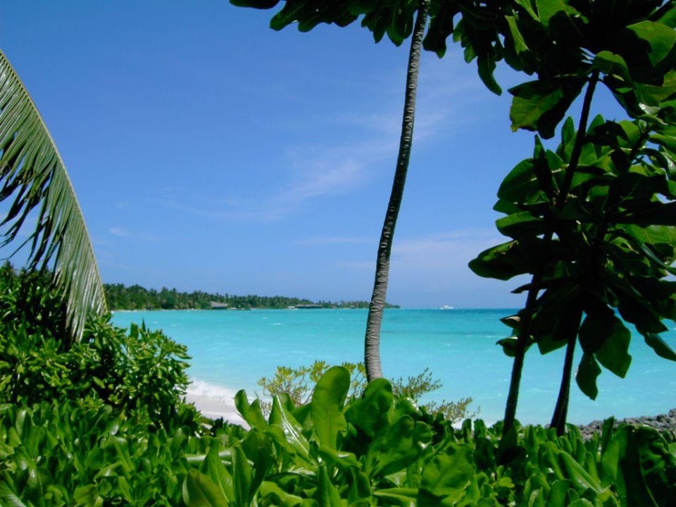 Traumausblick Kuramathi Maldives