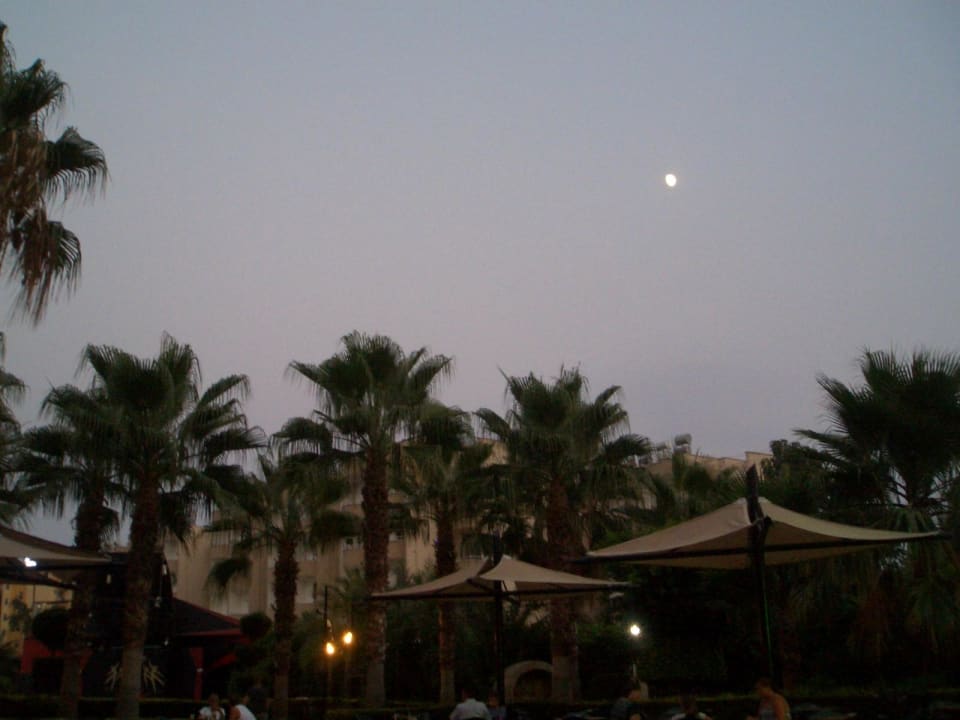 Greenbar Hotel Royal Garden Beach