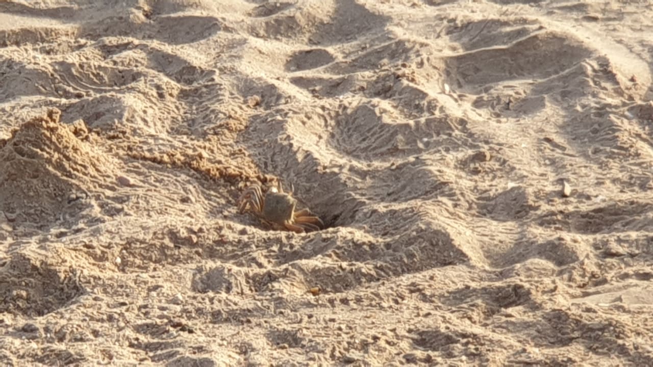 Strand Pickalbatros Dana Beach Resort - Hurghada