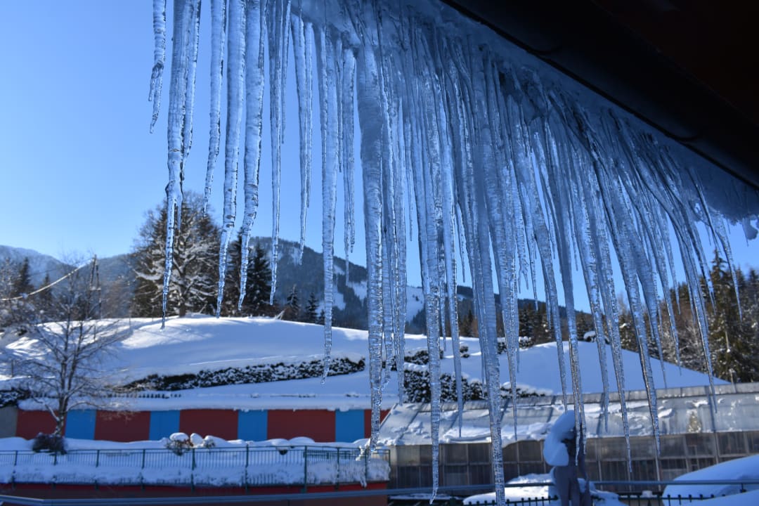 Sonstiges Hotel Vitaler Landauerhof