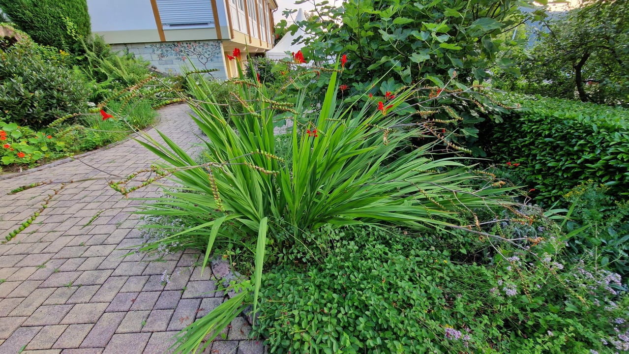 Gartenanlage Silberkönig Schwarzwald Hotel & Restaurant Ringhotel