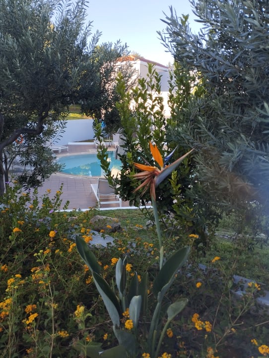 Gartenanlage Atlantica Marmari Palace