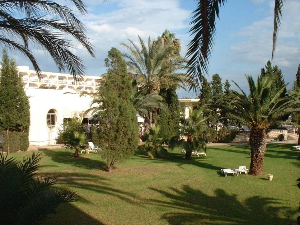 Ausblick vom Zimmer Royal Lido Resort & Spa