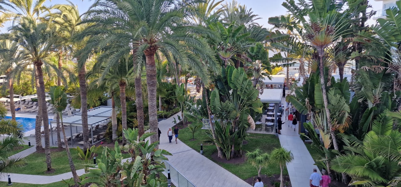 Gartenanlage Hotel Riu Palace Palmeras