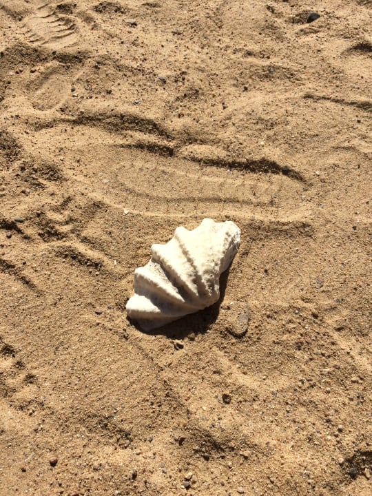 Strand Three Corners Sea Beach Resort